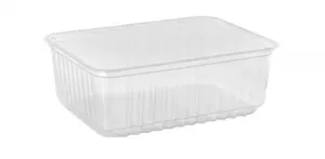 Контейнер пластиковый прямоугольный 179х132х63 мм, 1000 мл прозрачный Алькор